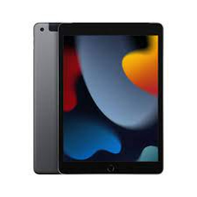 Apple 10.2-inch iPad Wi-Fi + Cellular - 9th generation - tablet - 256 GB - 10.2" IPS (2160 x 1620) - 3G, 4G - LTE - space grey
