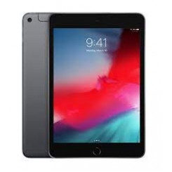 Apple iPad mini 5 Wi-Fi + Cellular - 5th generation - tablet - 256 GB - 7.9" IPS (2048 x 1536) - 3G, 4G - LTE - space grey