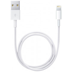 Apple - Lightning cable - Lightning male to USB male - 50 cm