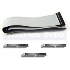 Belkin PRO Series IDE 40 pins Dual Disk Cable F3G523g19 - Clearance Sale - Uitverkoop - Soldes - Ausverkauf