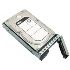 DELL 161-BCJW internal hard drive 12 TB 7200 RPM 3.5