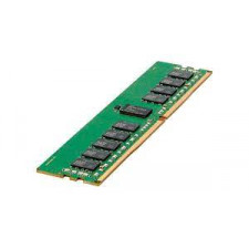 HPE 16 GB Standard Memory P43019-B21