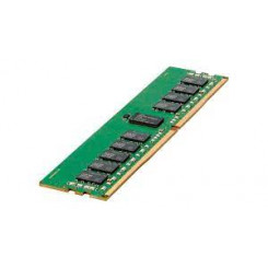 HPE 16 GB Standard Memory P43019-B21