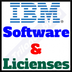 IBM Systems Director Standard Edition for x86 - (v. 6.x) - licence + 3 Years Software Subscription and Support - 1 managed server - Linux, Win