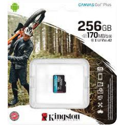 Kingston Canvas Go! Plus - Flash memory card - 256 GB - A2 / Video Class V30 / UHS-I U3 / Class10 - microSDXC UHS-I