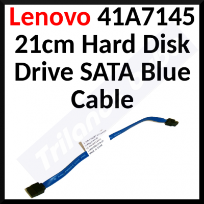 Lenovo (41A7145) 21cm Hard Disk Drive SATA Blue Cable