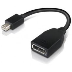 Lenovo - DisplayPort adapter - Mini DisplayPort (M) to DisplayPort (F) - 17.6 cm - for ThinkCentre M70