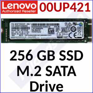 Lenovo 256 GB SATA M.2 OPAL 2.0 Encryption SSD Drive 00UP421 (4XB0K48499)