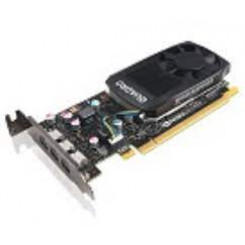 NVIDIA Quadro K600 - Graphics card - Quadro K600 - 1 GB DDR3 - PCIe 2.0 x16 low profile - DVI, DisplayPort - for ThinkServer TS140