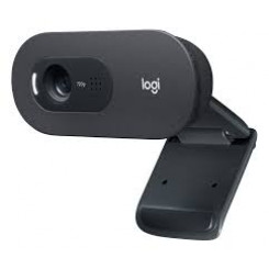 Logitech C505 - Webcam - colour - 720p - fixed focal - audio - USB