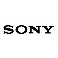 Sony Walkman NW-E394 - Digital player - 8 GB - black