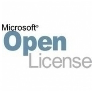 Microsoft Dynamics 365 Team Members - Licence & software assurance - 1 SAL - SPLA - Win - All Languages
