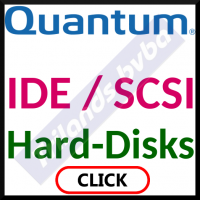 hard_disks_internal/quantum