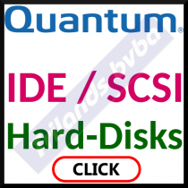 hard_disks_internal/quantum