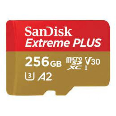 Ext PLUS microSDXC 256GB + SD 200MB/s