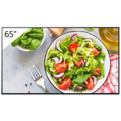 Sony Bravia Professional Displays FW-65BZ35L BZ35L Series - 65" LED-backlit LCD display - 4K - for digital signage