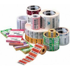 Zebra Z-Perform Multipurpose Label - Permanent Adhesive - Rectangle - Direct Thermal - White - Paper, Acrylic - 3200 / Roll - 38400 Total Label(s) - 12 Roll